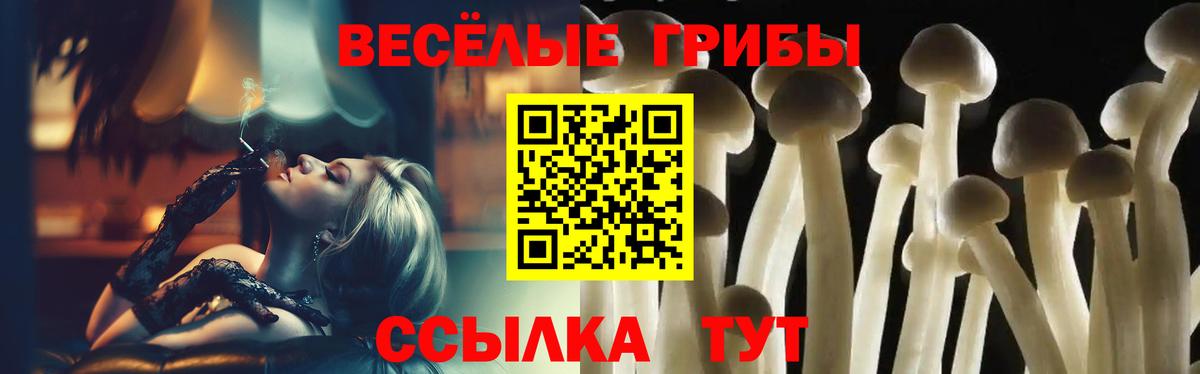 купить закладку  Галлюциногенные грибы прущие грибы  Вход с VPN  Томск 